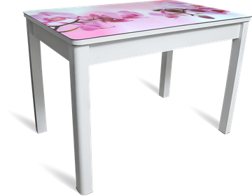 Кухонный стол раздвижной Айсберг мини СТФ, белое лдсп/орхидея/40 прямые массив белые в Воронеже