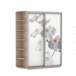 Шкаф 2-створчатый Экспресс 1900x600x2200, со стеллажом, Орхидея белая/дуб молочный в Воронеже