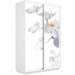 Шкаф 2-дверный Экспресс 1600x450x2400, Орхидея белая/белый снег в Воронеже