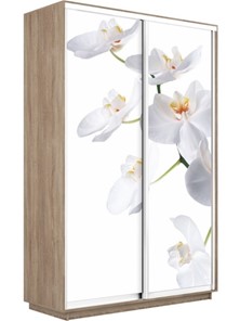 Шкаф двухдверный Экспресс 1600x450x2400, Орхидея белая/дуб сонома в Воронеже