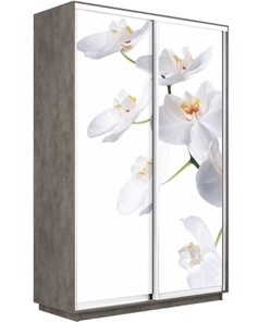 Шкаф 2-х створчатый Экспресс 1600x600x2400, Орхидея белая/бетон в Воронеже