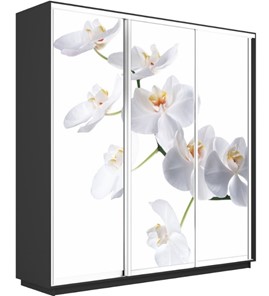 Шкаф трехдверный Экспресс 1800х600х2400, Орхидея белая/серый диамант в Воронеже
