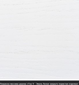 Обеденный раздвижной стол Кабриоль 1200х800, (Тон 7 - Орех тёмный) Морилка/Эмаль в Воронеже - предосмотр 18