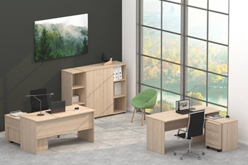 Офисный комплект мебели Twin в Воронеже - предосмотр 4