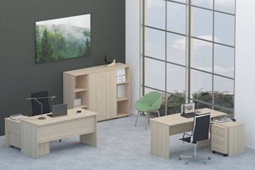 Набор мебели в офис Twin для 2 сотрудников со шкафом для документов в Воронеже - предосмотр